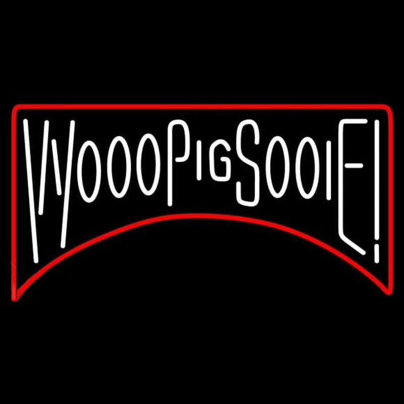 Custom Arkansas Razorbacks Wordmark 2001 2008 Logo NCAA Neon Sign Neon Sign USA