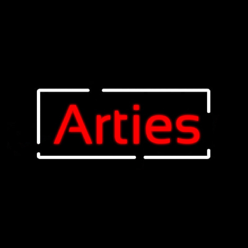 Custom Arties With Border Neon Sign USA