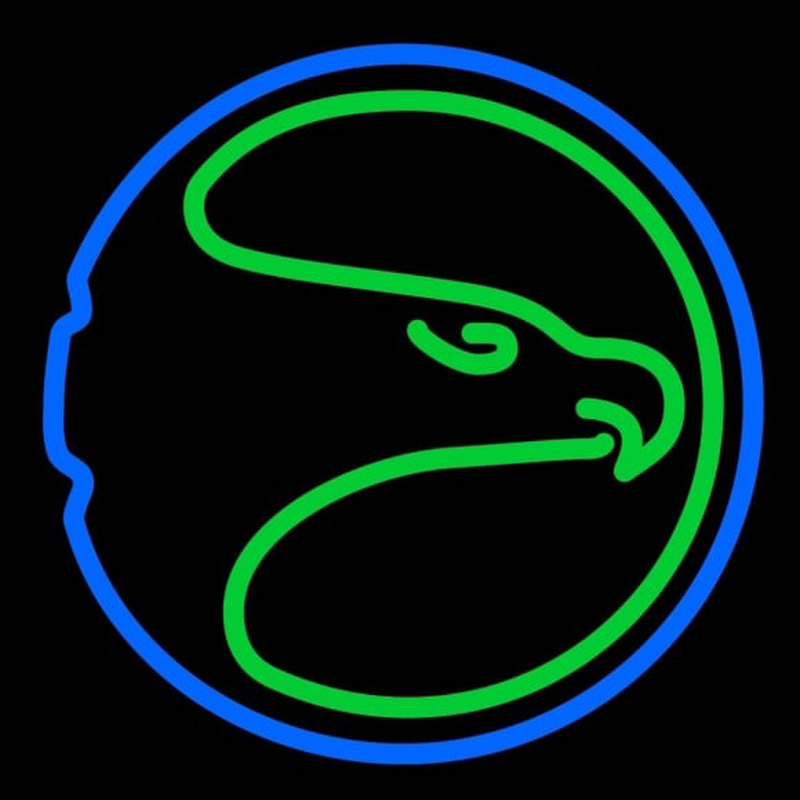 Custom Atlantahawks 1970 Neon Sign Neon Sign USA
