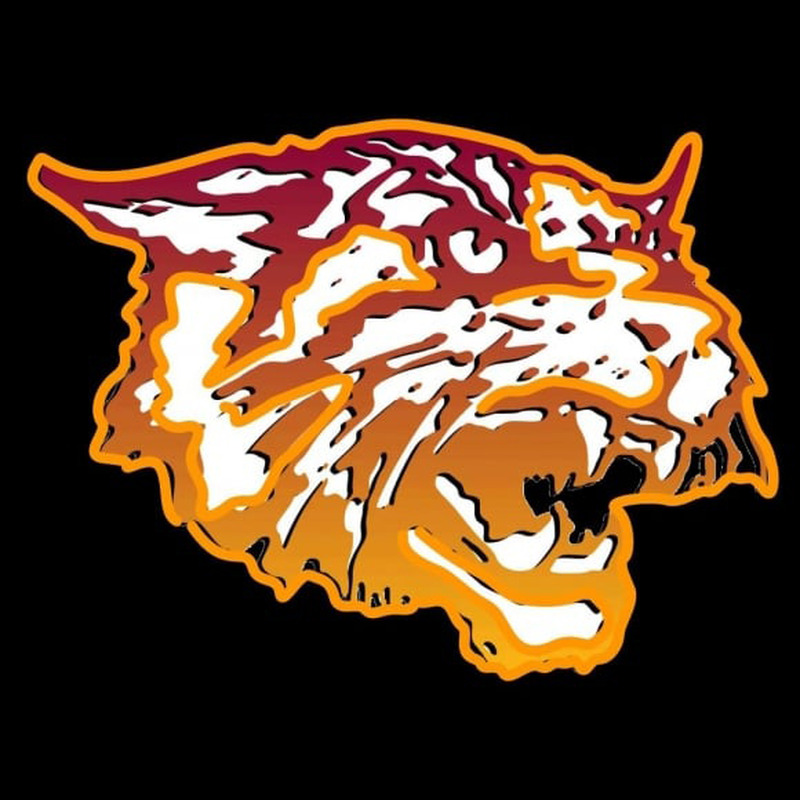 Custom Bethune Cookman Wildcats Neon Sign Neon Sign USA