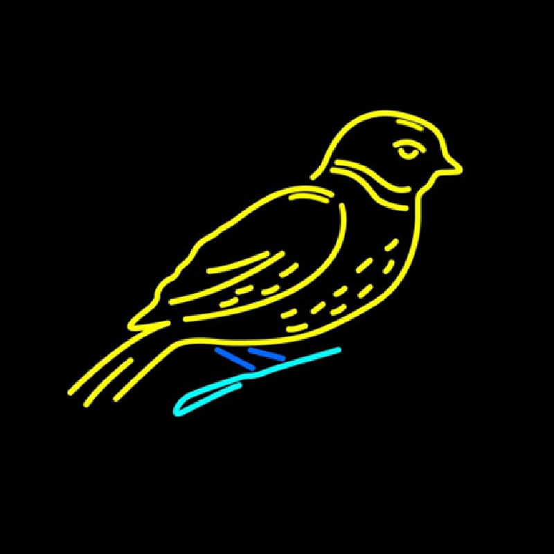 Custom Birds Logo Neon Sign USA