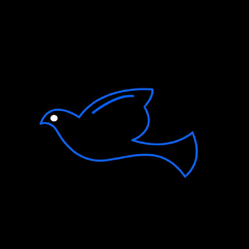 Custom Birds Neon Sign USA