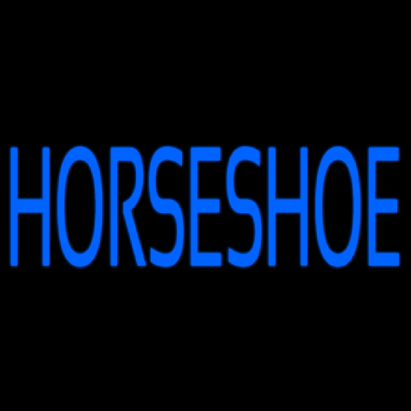 Custom Blue Horseshoe Neon Sign USA