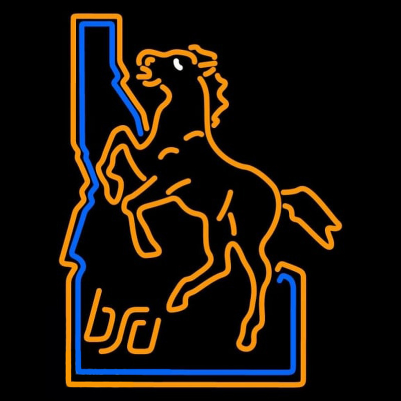 Custom Boise State Broncos Primary 1974 2001 Logo NCAA Neon Sign Neon Sign USA