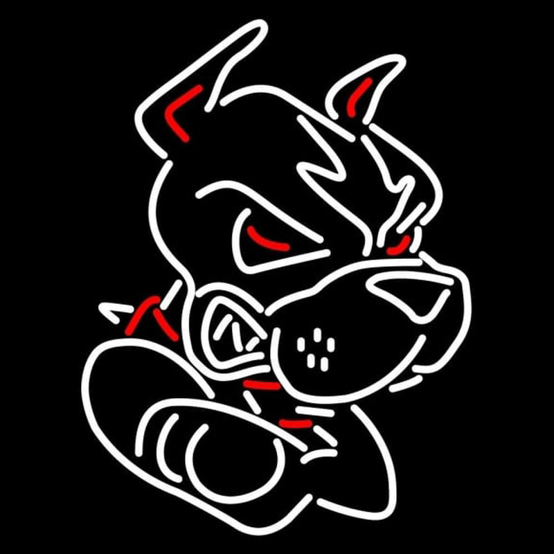 Custom Boston University Terriers Partial 2005 Pres Logo NCAA Neon Sign Neon Sign USA