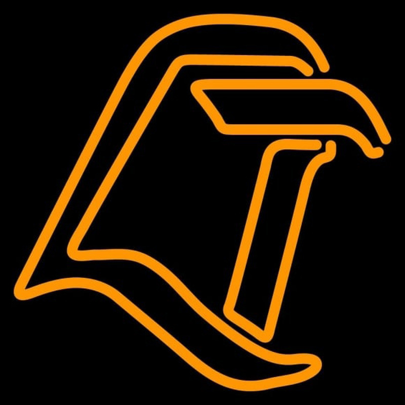 Custom Bowling Green Falcons Primary 1980 2005 Logo NCAA Neon Sign Neon Sign USA