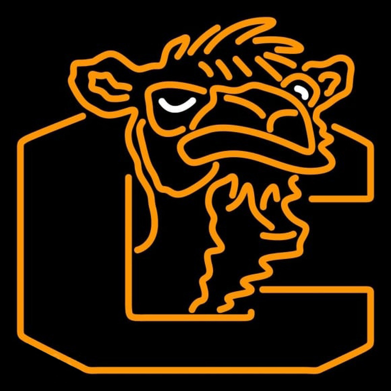 Custom Campbell Fighting Camels Alternate 1996 2004 Logo NCAA Neon Sign Neon Sign USA