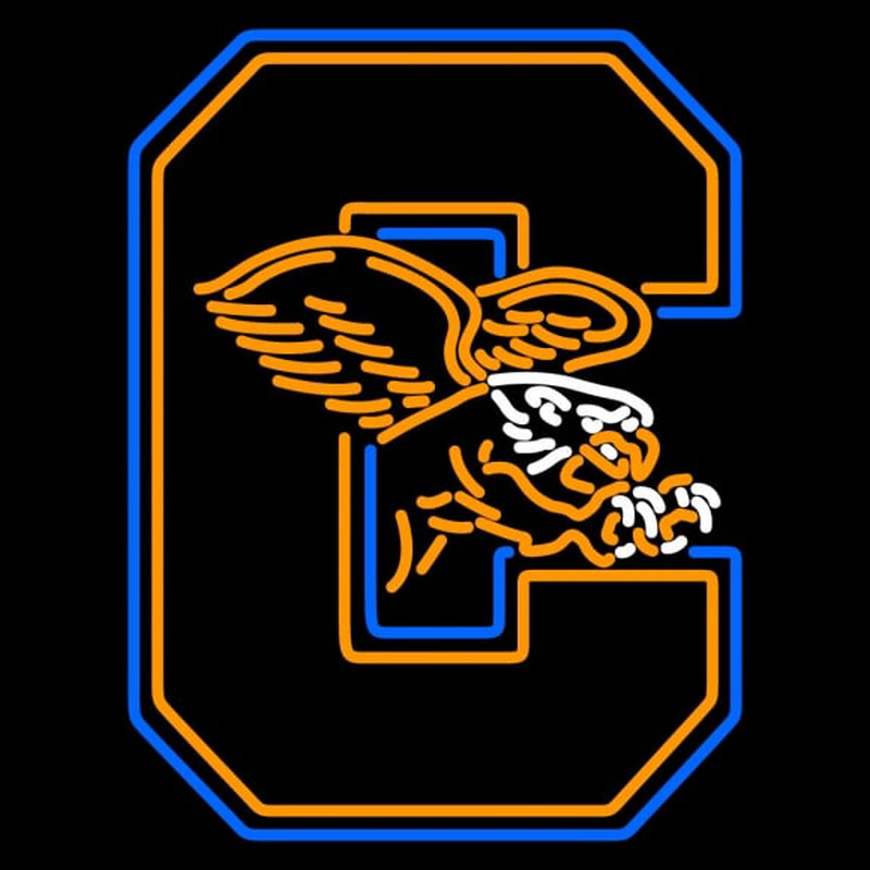 Custom Canisius Golden Griffins Alternate Pres Logo NCAA Neon Sign Neon Sign USA