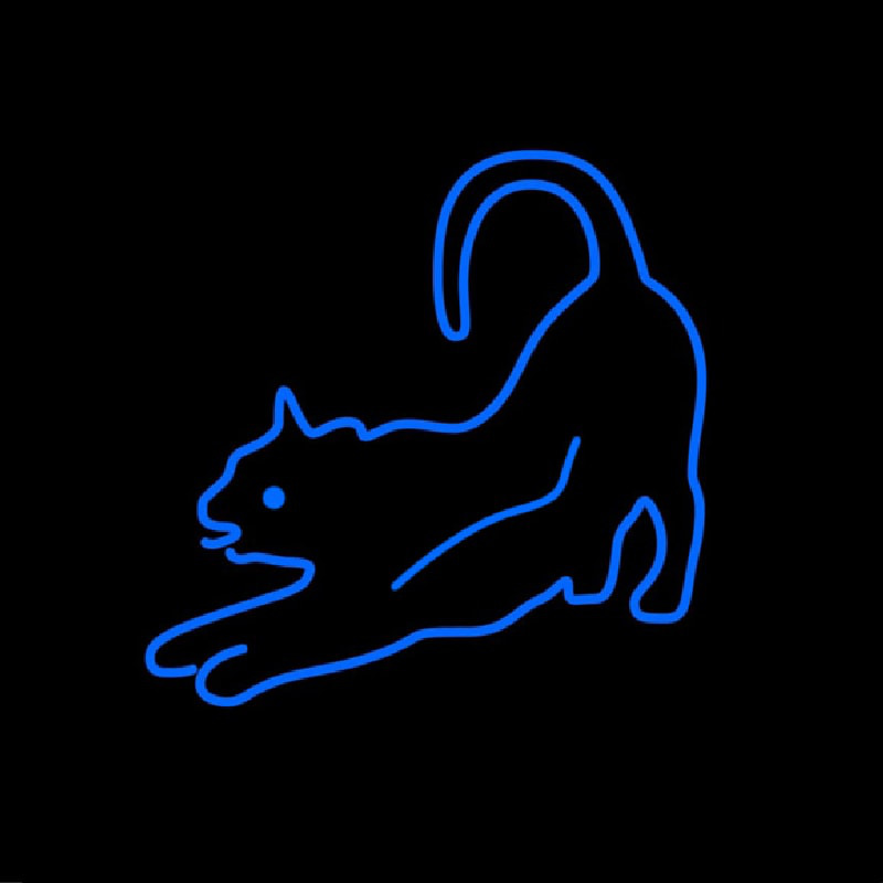 Custom Cat Care Neon Sign USA