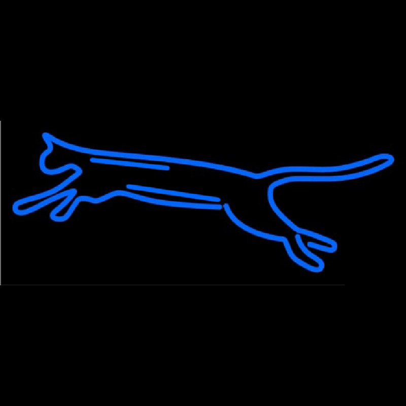 Custom Cat Jump Neon Sign USA