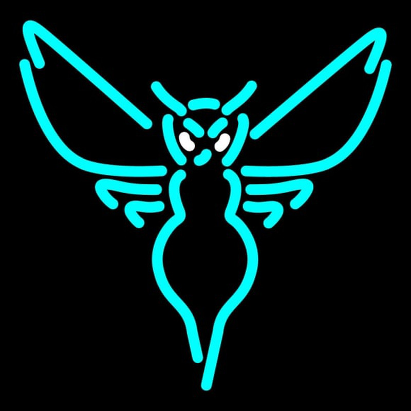 Custom Charlotte Hornets Alternate Pres Logo NBA Neon Sign Neon Sign USA
