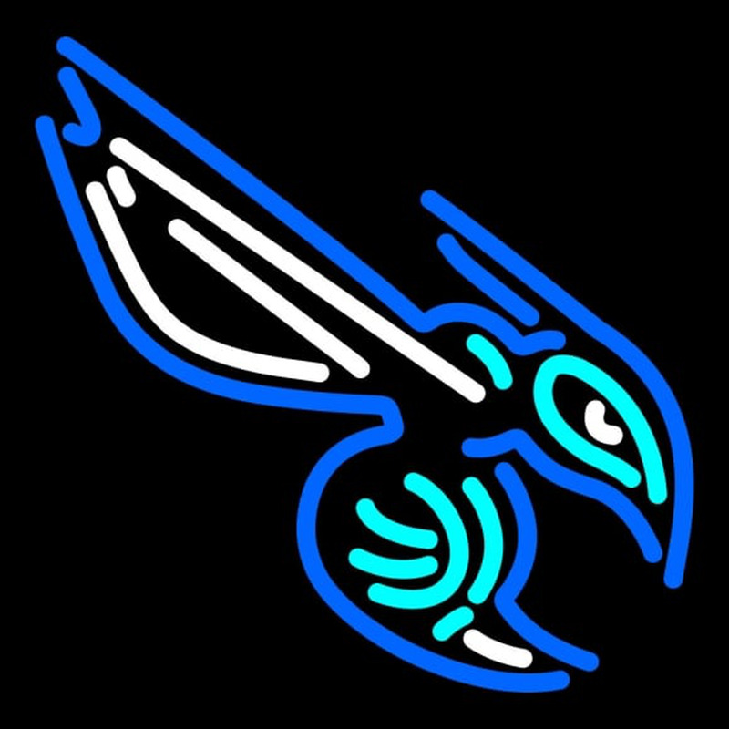 Custom Charlotte Hornets Secondary Pres Logo NBA Neon Sign Neon Sign USA