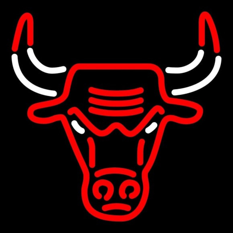 Custom Chicago Bulls Alternate 1966 67 Pres Logo NBA Neon Sign Neon Sign USA