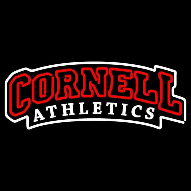 Custom Cornell Big Red Wordmark 1998 Pres Logo NCAA Neon Sign Neon Sign USA