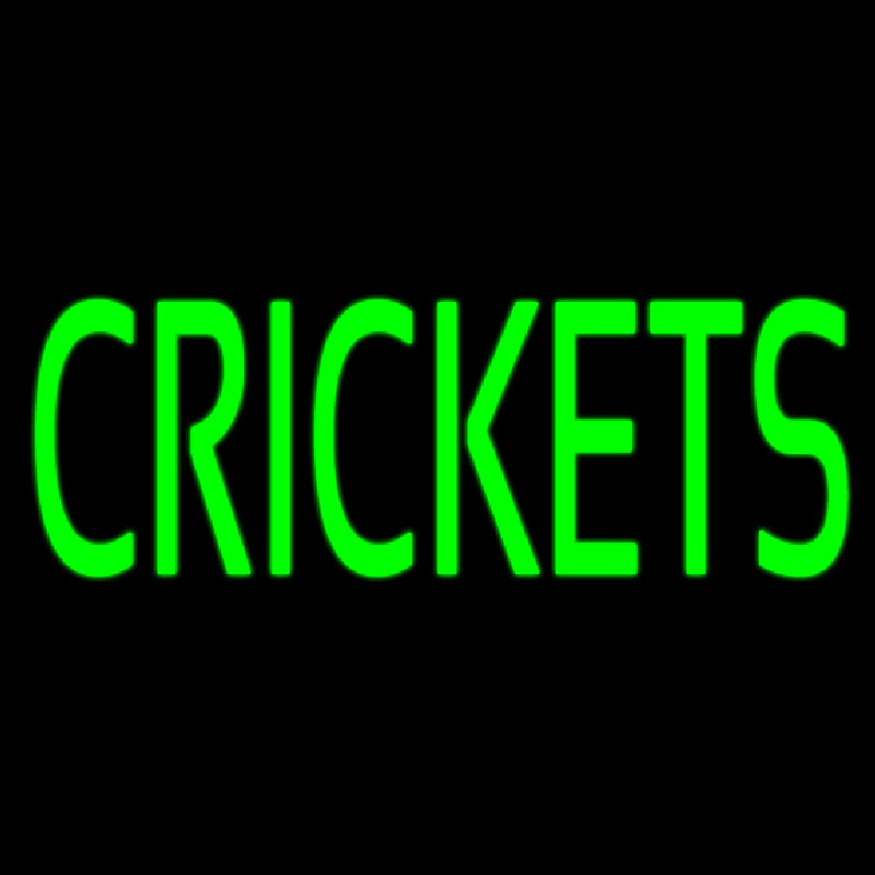 Custom Crickets Neon Sign USA