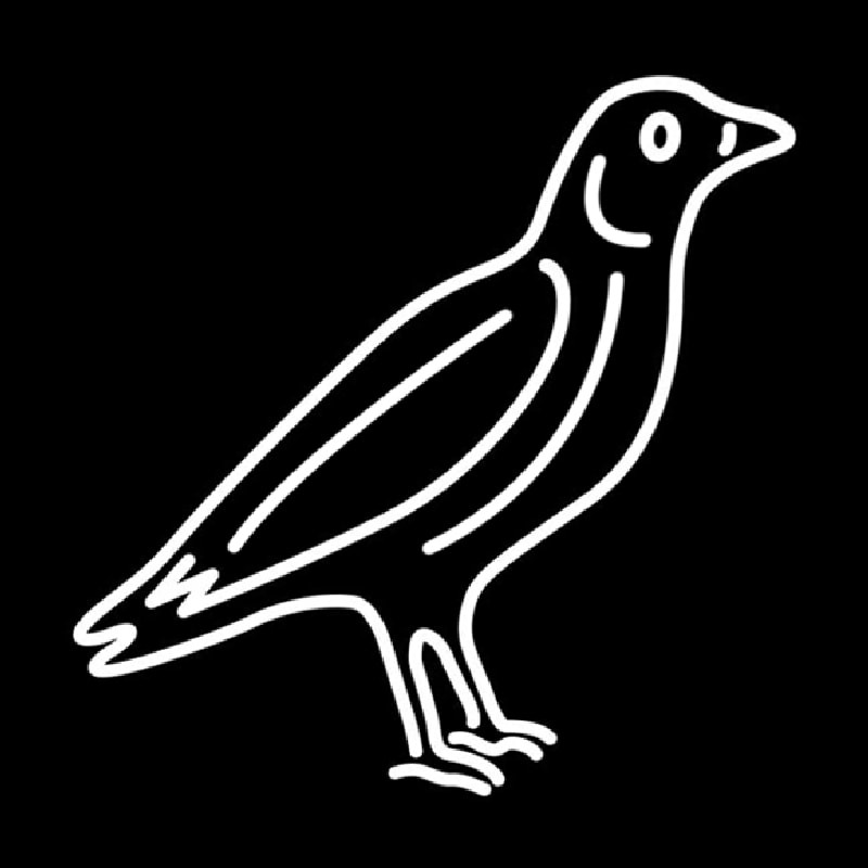 Custom Crow Neon Sign USA