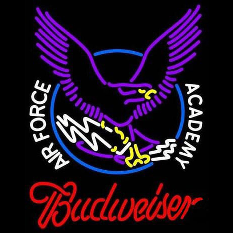 Custom Custom Air Force Falcons With Budweiaer Real Neon Tube Neon Sign Neon Sign USA