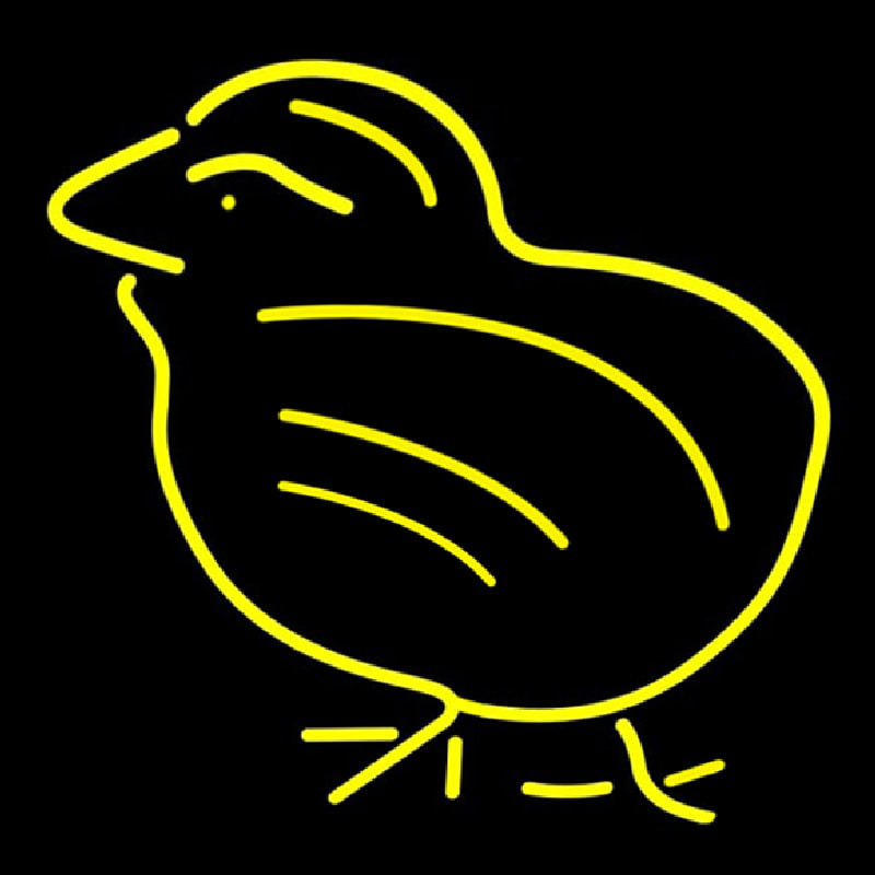 Custom Cute Chick Neon Sign USA