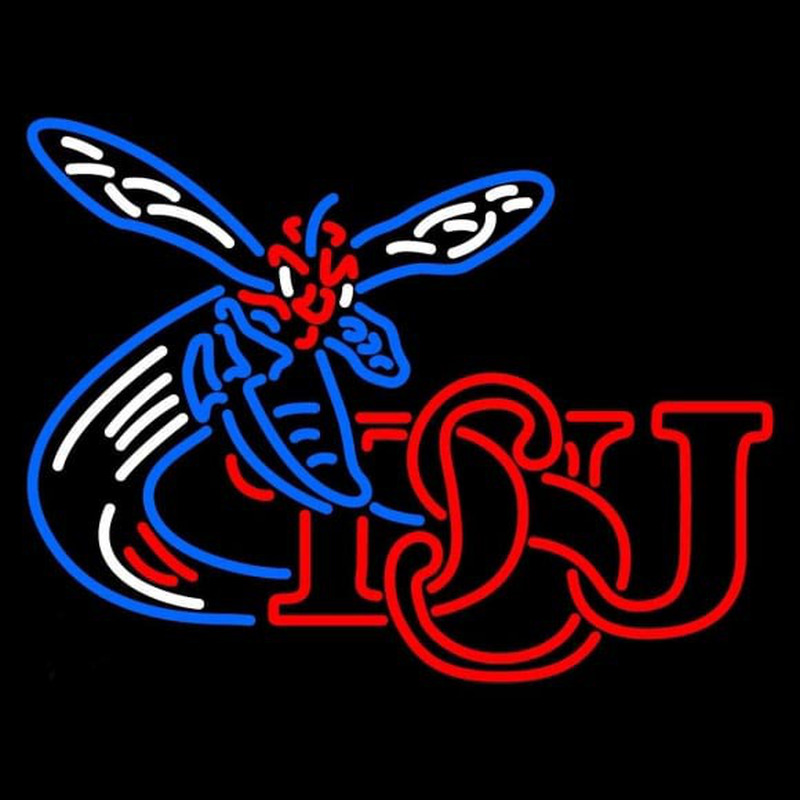 Custom Delaware State Hornets Alternate 2004 Pres Logo NCAA Neon Sign Neon Sign USA