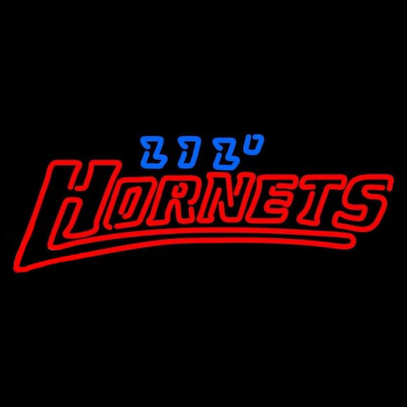 Custom Delaware State Hornets Misc 2004 Pres Logo NCAA Neon Sign Neon Sign USA