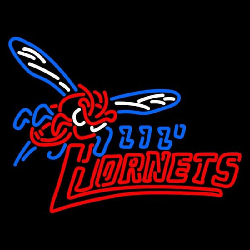 Custom Delaware State Hornets Misc 2004 Pres Logo NCAA Neon Sign Neon Sign USA