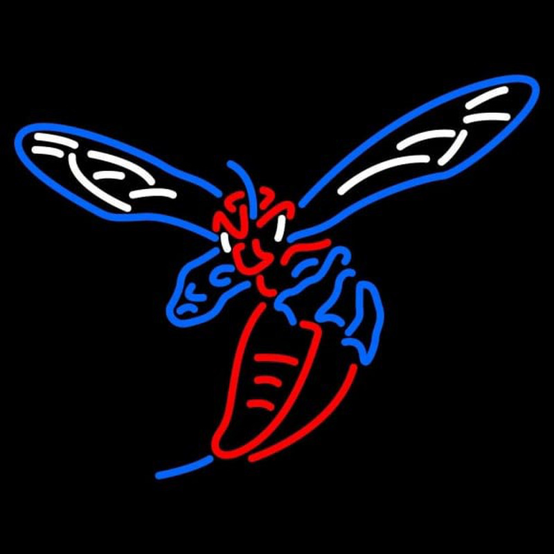 Custom Delaware State Hornets Neon Sign Neon Sign USA