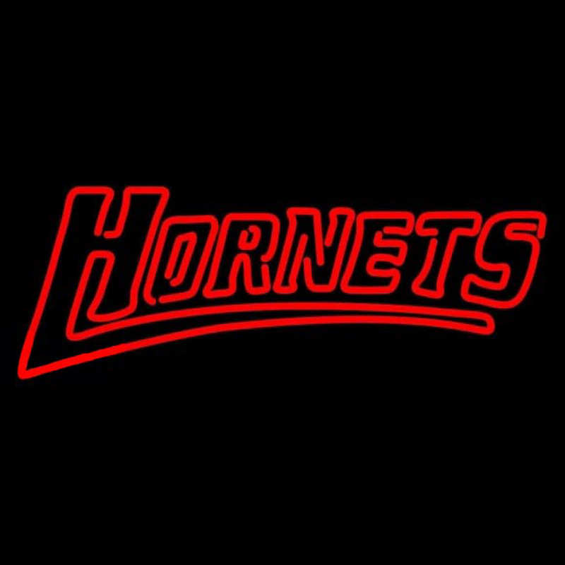 Custom Delaware State Hornets Wordmark 2004 Pres Logo NCAA Neon Sign Neon Sign USA