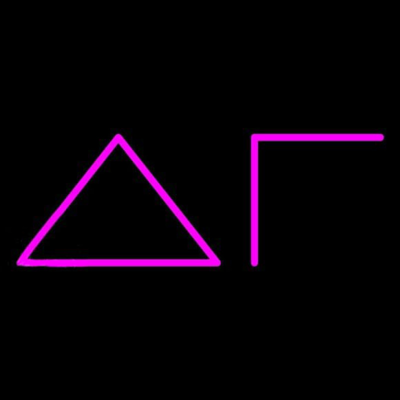Custom Delta Gamma Neon Sign USA