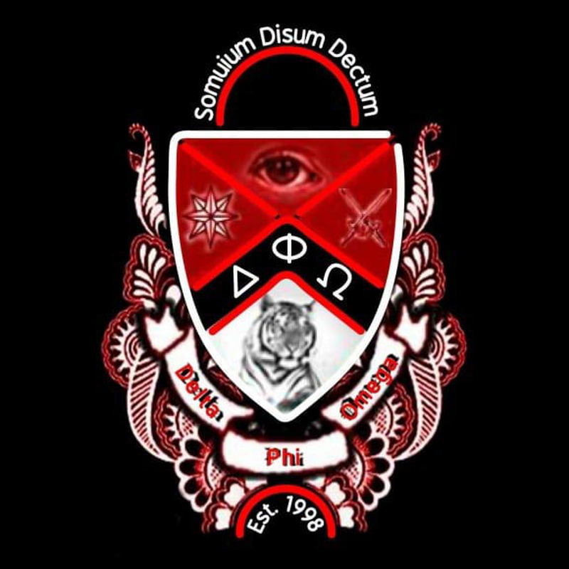 Custom Delta Phi Omega Logo Neon Sign USA