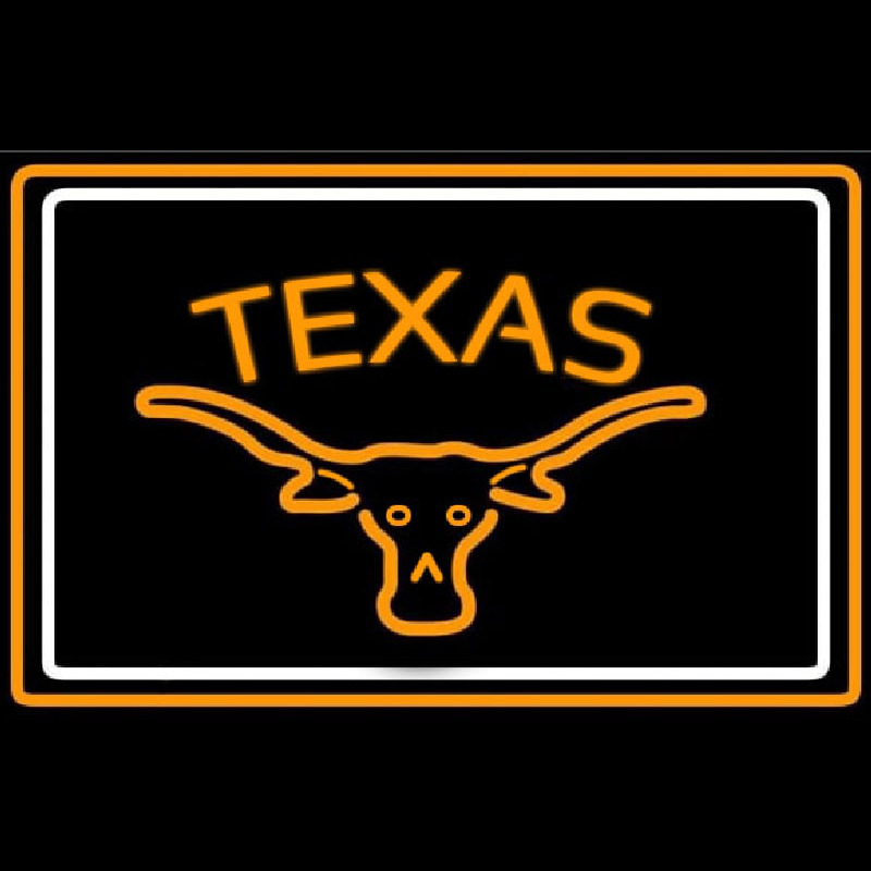 Custom Dont Mess with Texas Longhorn Neon Sign USA