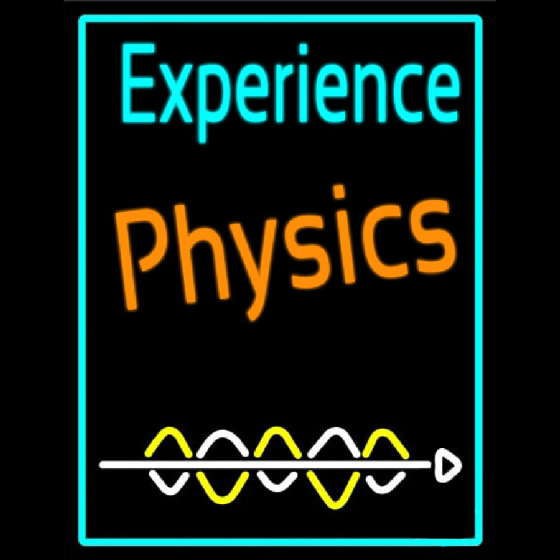 Custom Experience Phyysics Neon Sign USA