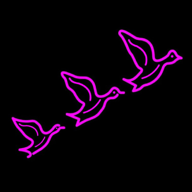 Custom Flying Ducks Neon Sign USA