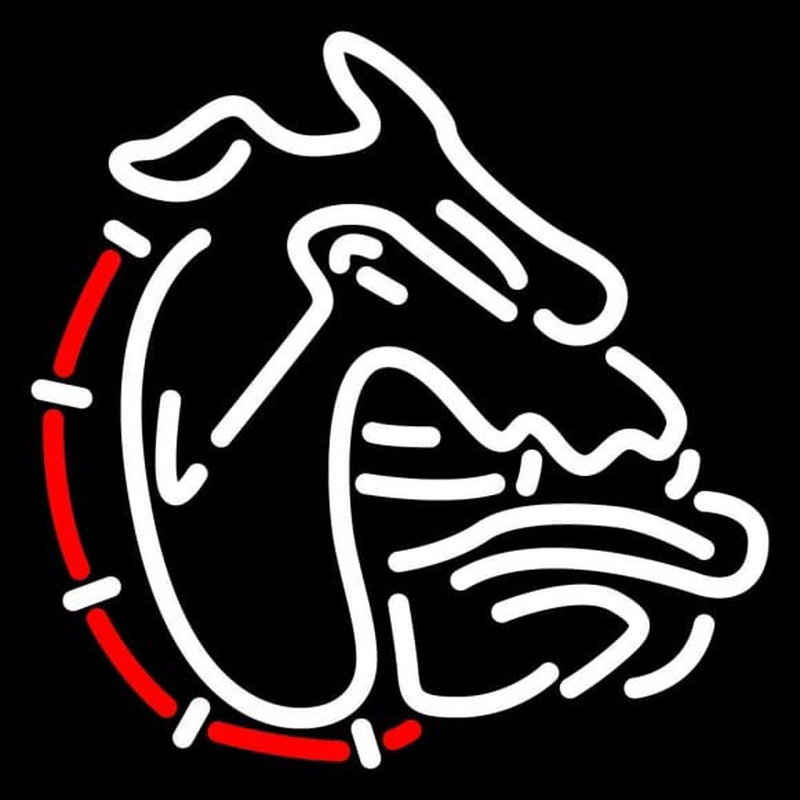 Custom Gardner Webb Bulldogs Partial 1987 Pres Logo NCAA Neon Sign Neon Sign USA