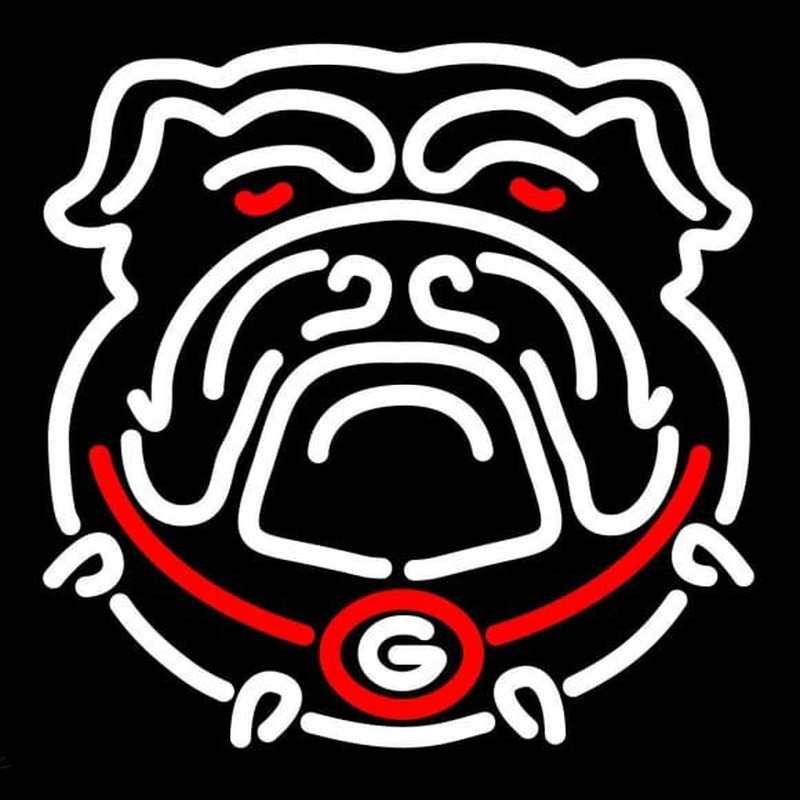 Custom Georgia Bulldogs Secondary 2013 Pres Logo NCAA Neon Sign Neon Sign USA
