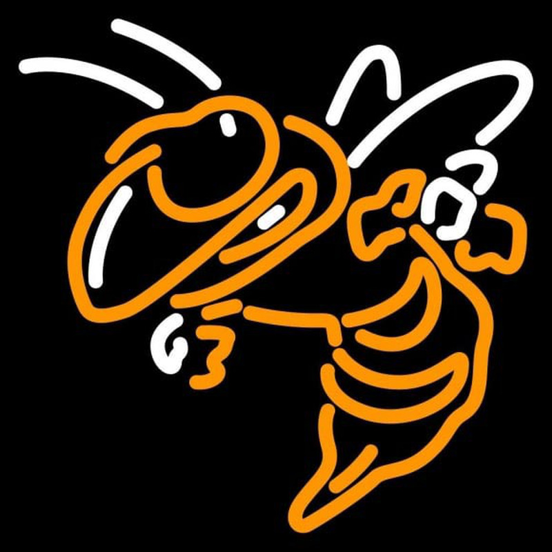 Custom Georgia Tech Yellow Jackets Alternate 1991 Pres Logo NCAA Neon Sign Neon Sign USA