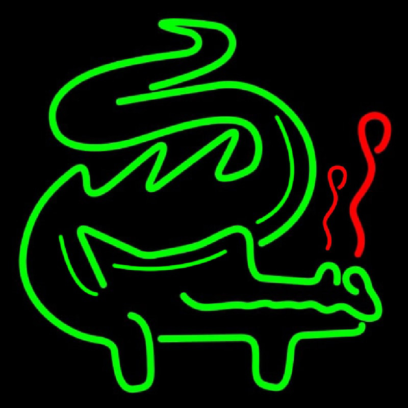 Custom Green Dragon Neon Sign USA