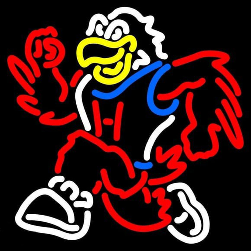 Custom Hartford Hawks Mascot 1984 Pres Logo NCAA Neon Sign Neon Sign USA