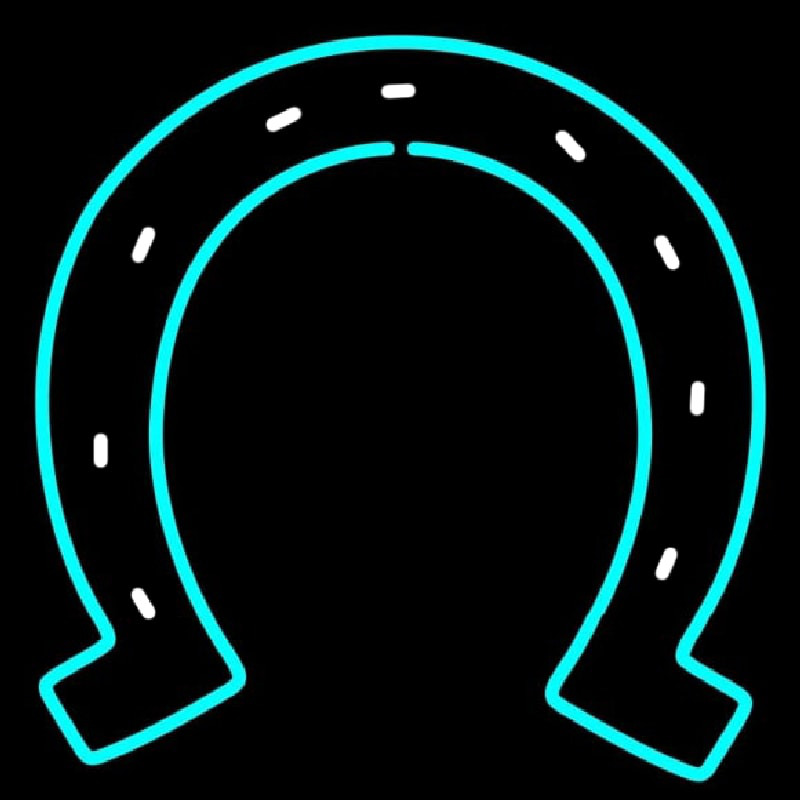 Custom Horseshoe Turquoise Neon Sign USA