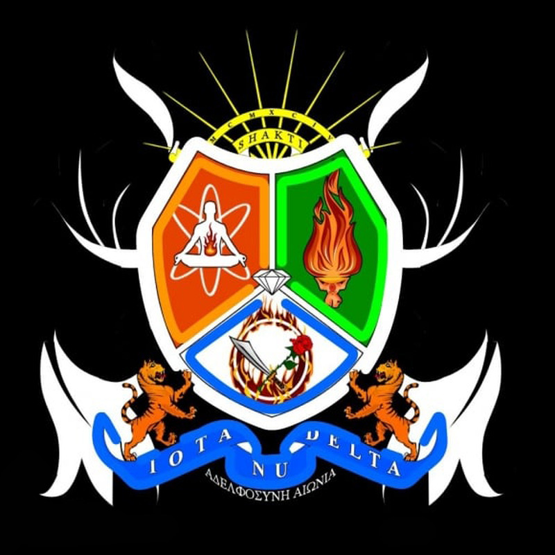 Custom Iota Nu Delta Logo Neon Sign USA