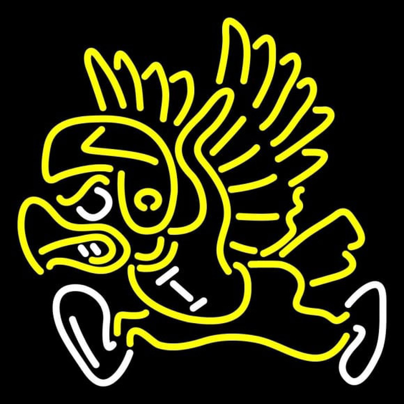 Custom Iowa Hawkeyes Primary 1962 1970 Logo NCAA Neon Sign Neon Sign USA
