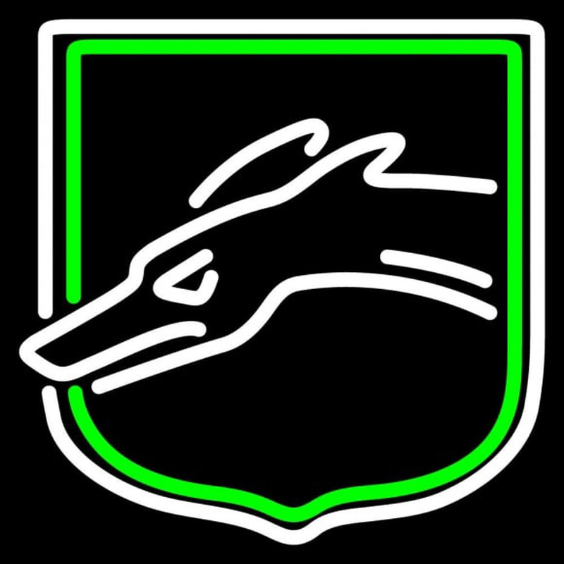 Custom Loyola Maryland Greyhounds Alternate Pres NCAA Neon Sign Neon Sign USA