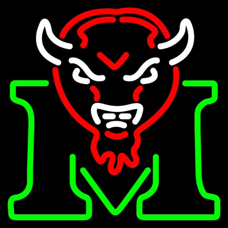 Custom Marshall Thundering Herd Alternate Pres NCAA Neon Sign Neon Sign USA