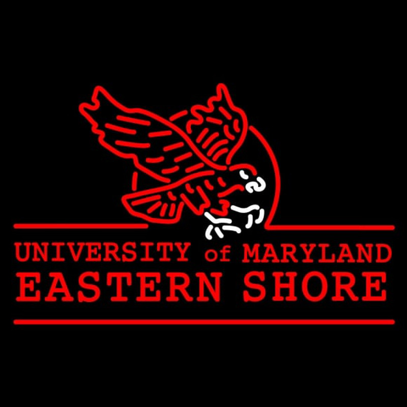 Custom Maryland Eastern Shore Hawks Alternate Pres Logo NCAA Neon Sign Neon Sign USA