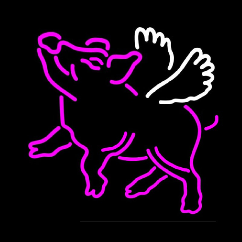 Custom Mfg Flying Pig Neon Sign USA