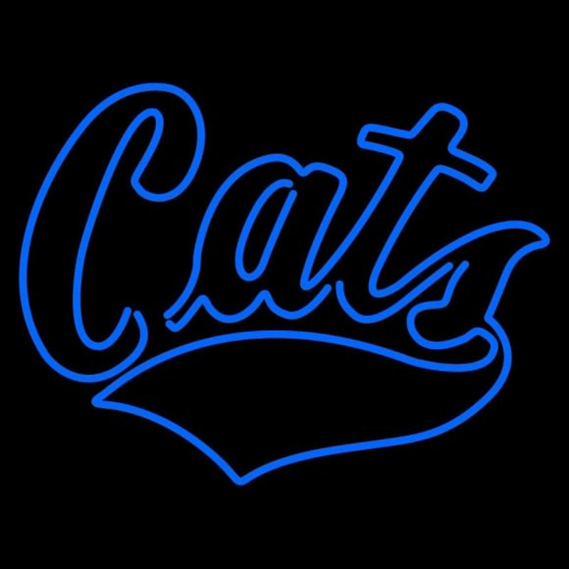 Custom Montana State Bobcats Wordmark 1997 Pres Logo NCAA Neon Sign Neon Sign USA