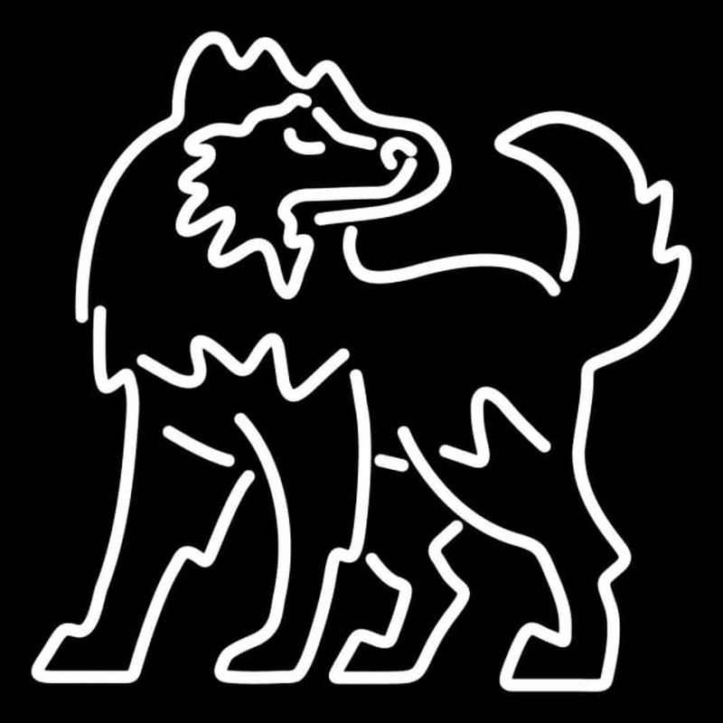 Custom Northern Illinois Huskies Alternate Pres Logo NCAA Neon Sign Neon Sign USA