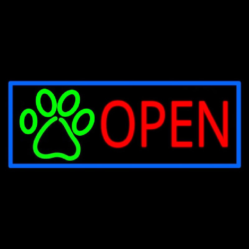 Custom Open Neon Sign USA