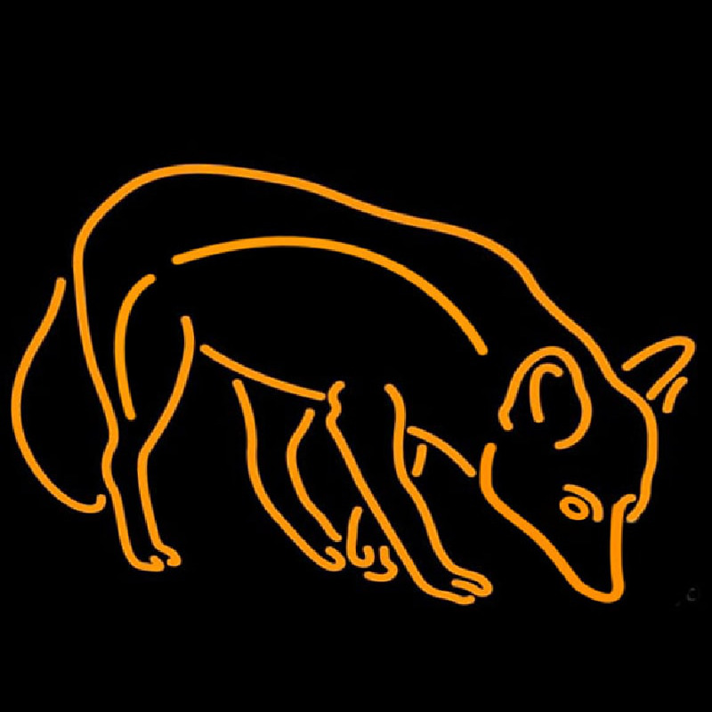 Custom Orange Fox Neon Sign USA