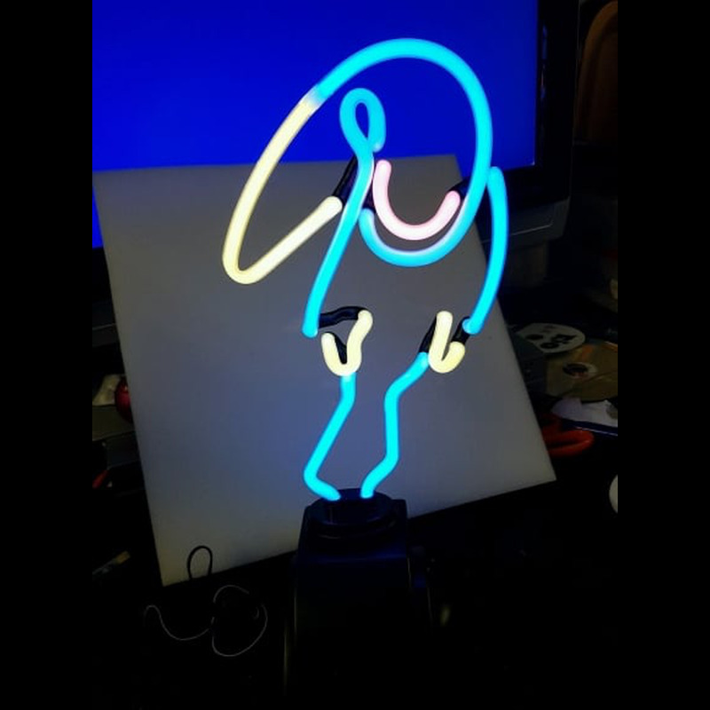 Custom Parrot Desktop Neon Sign