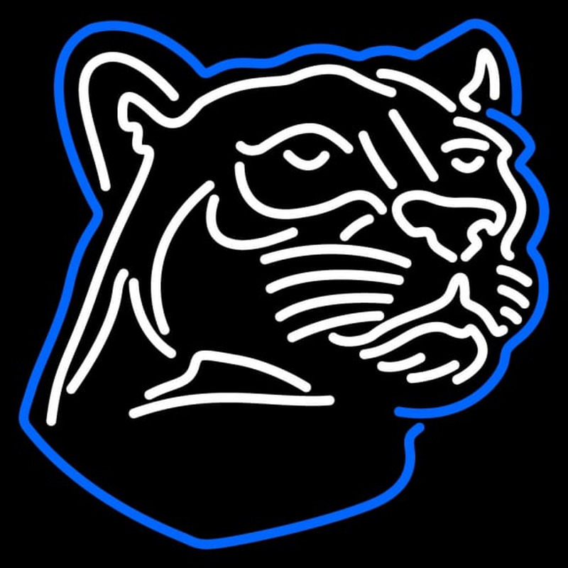 Custom Penn State Nittany Lions Partial Pres Logo NCAA Neon Sign Neon Sign USA